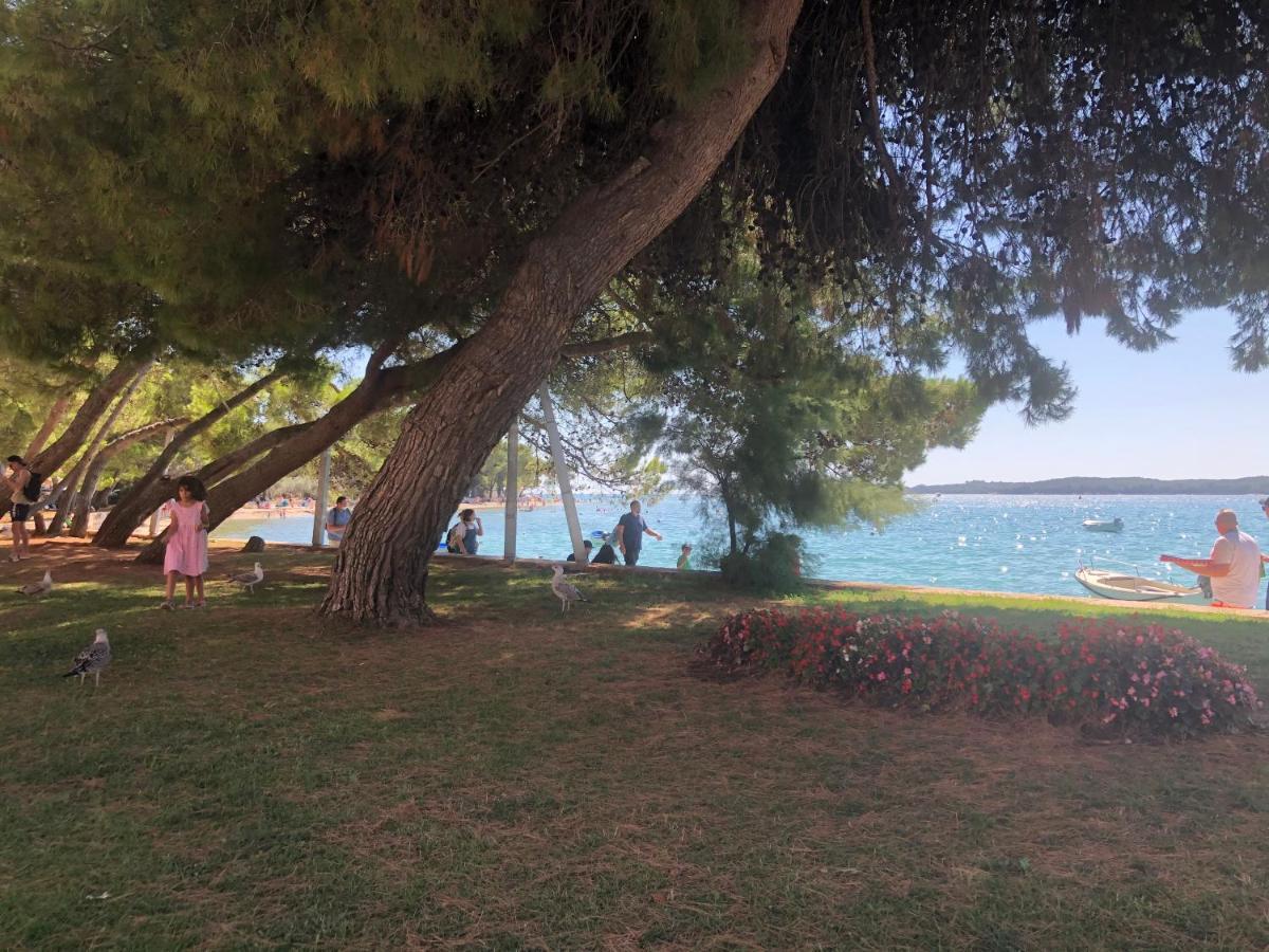 Istrian Stone House In The Heart Of The Beautiful Fishing Village Fazana - Only Few Steps From The Sea And The Wonderful Beach - Incl Plasma-Quad-Plus-Filter Against C O V I D Luaran gambar