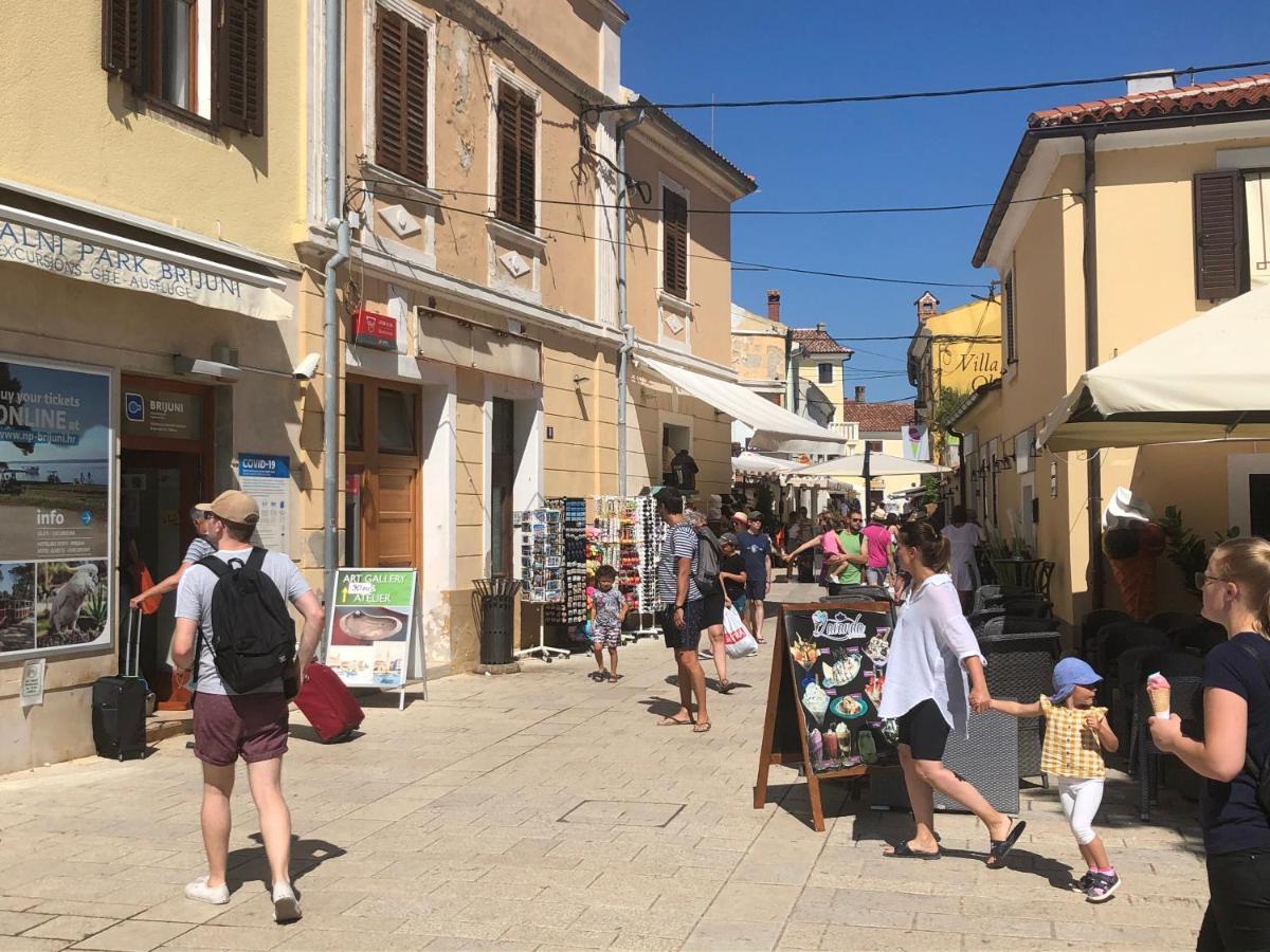 Istrian Stone House In The Heart Of The Beautiful Fishing Village Fazana - Only Few Steps From The Sea And The Wonderful Beach - Incl Plasma-Quad-Plus-Filter Against C O V I D Luaran gambar